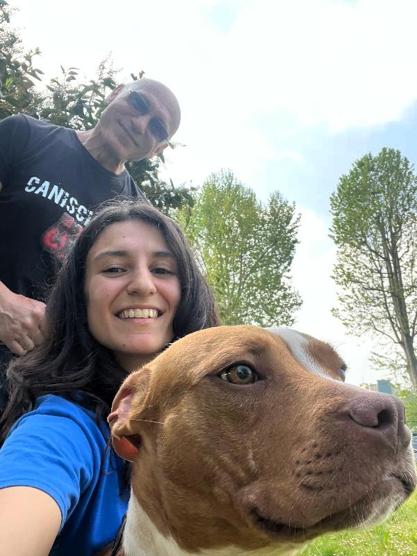 DANKO ALLA RICERCA DI UNA FAMIGLIA Foto 9